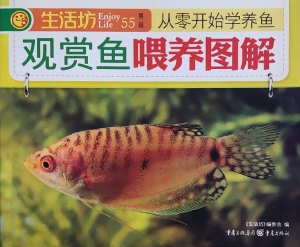 观赏鱼喂养图解