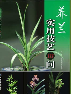 养兰实用技艺111问