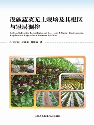 设施蔬菜无土栽培及其