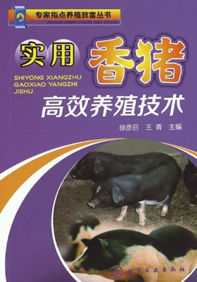 实用香猪高效养殖技术