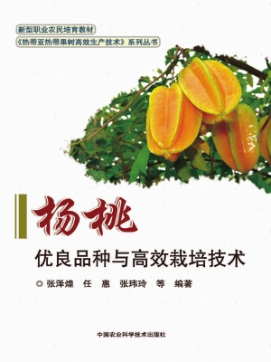 杨桃优良品种与高效栽
