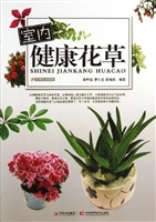 室内健康花草