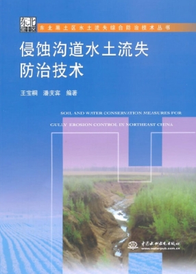 侵蚀沟道水土流失防治