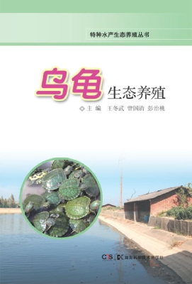 乌龟生态养殖