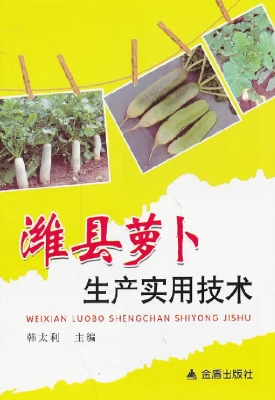 潍县萝卜生产实用技术