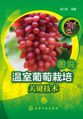 图说温室葡萄栽培关键