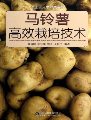 马铃薯高效栽培技术
