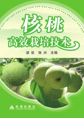 核桃高效栽培技术
