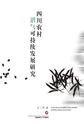 四川农村沼气可持续发
