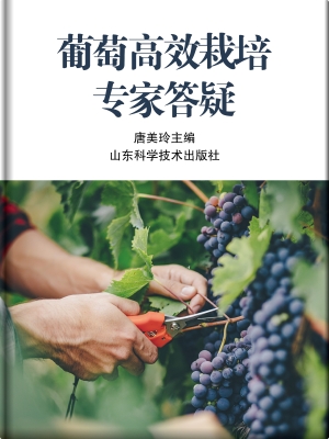 葡萄高效栽培专家答疑