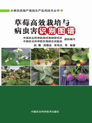 草莓高效栽培与病虫害