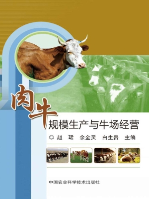 肉牛规模生产与牛场经