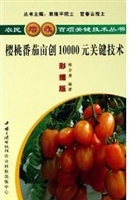 樱桃番茄亩创10000 元