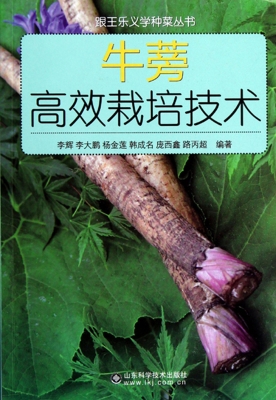 牛蒡高效栽培技术