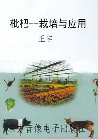 枇杷--栽培与应用