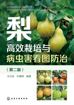 梨高效栽培与病虫害看
