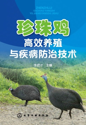 珍珠鸡高效养殖与疾病
