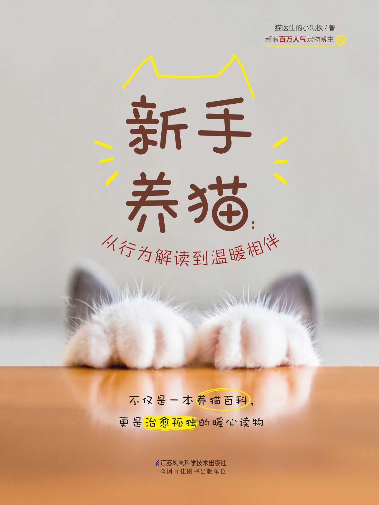 新手养猫：从行为解读到