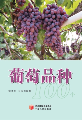 葡萄品种100个