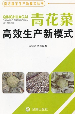 青花菜高效生产新模式