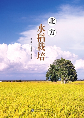 北方水稻栽培