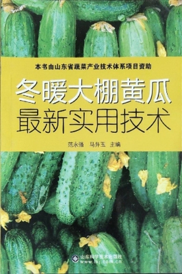 冬暖大棚黄瓜最新实用