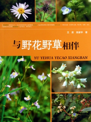 与野花野草相伴