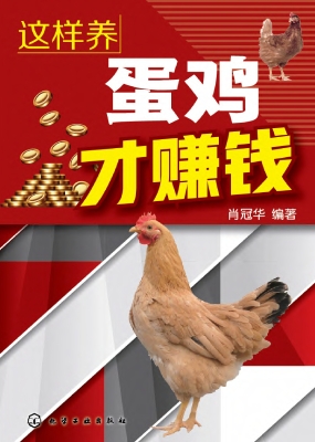 这样养蛋鸡才赚钱