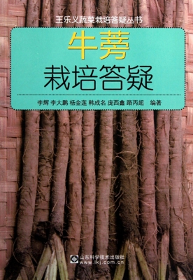 牛蒡栽培答疑