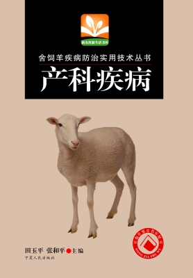 产科疾病
