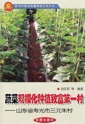 蔬菜规模化种植致富第