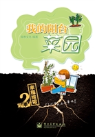 我的阳台菜园