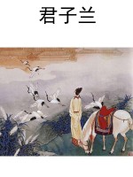 君子兰