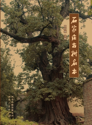 石家庄古树名木