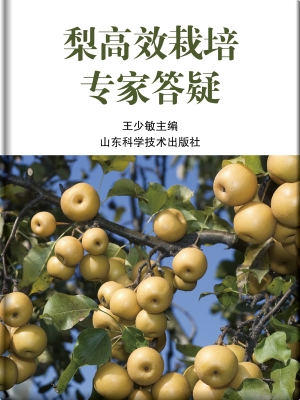 梨高效栽培专家答疑