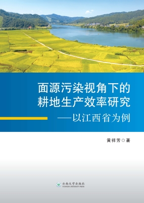 面源污染视角下的耕地