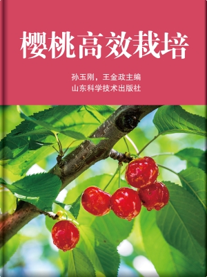 樱桃高效栽培