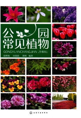 公园常见植物