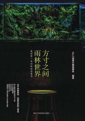 方寸之间，雨林世界：我的