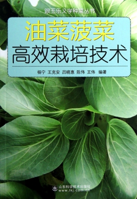 油菜菠菜高效栽培技术