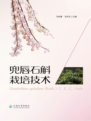 兜唇石斛栽培技术