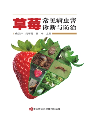 草莓常见病虫害诊断与