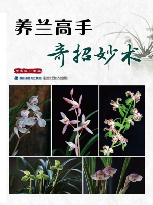 养兰高手奇招妙术