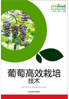 [!--oldtitle--] PDF电子书下载