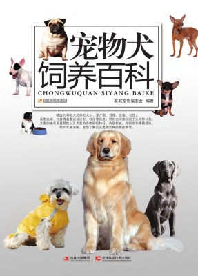 宠物犬饲养百科