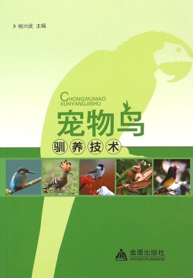 宠物鸟驯养技术