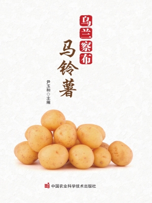 乌兰察布马铃薯