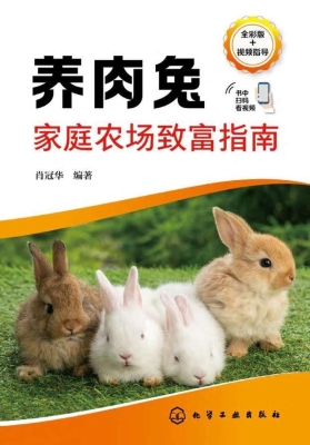养肉兔家庭农场致富指