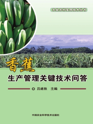 香蕉生产管理关键技术