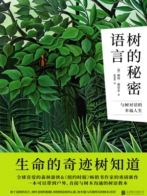 树的秘密语言